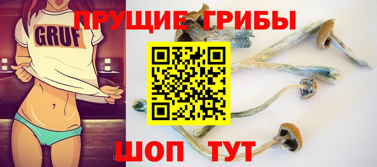 Галлюциногенные грибы Magic Shrooms  Псилоцибиновые грибы мицелий  Избербаш  Вход с VPN 